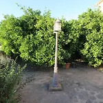 Ca\'S Xibal-Li